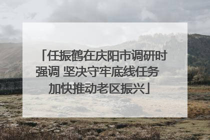 任振鹤在庆阳市调研时强调 坚决守牢底线任务 加快推动老区振兴