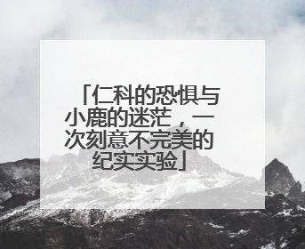 仁科的恐惧与小鹿的迷茫，一次刻意不完美的纪实实验