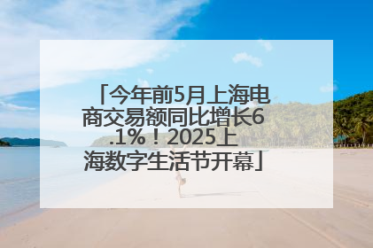 今年前5月上海电商交易额同比增长6.1%！2025上海数字生活节开幕
