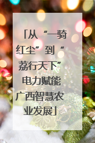 从“一骑红尘”到“荔行天下” 电力赋能广西智慧农业发展
