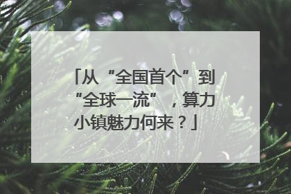 从“全国首个”到“全球一流”，算力小镇魅力何来？
