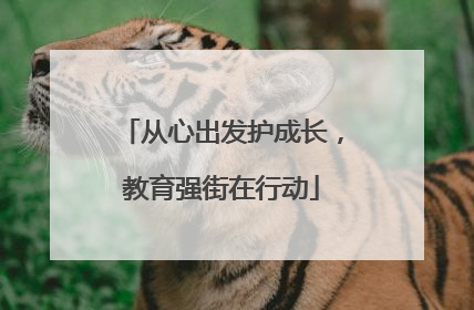 从心出发护成长，教育强街在行动