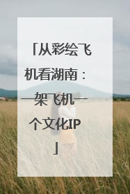 从彩绘飞机看湖南：一架飞机一个文化IP