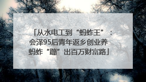 从水电工到“蚂蚱王”：会泽95后青年返乡创业养蚂蚱“蹦”出百万财富路
