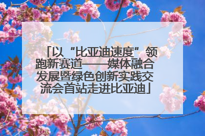 以“比亚迪速度”领跑新赛道——媒体融合发展暨绿色创新实践交流会首站走进比亚迪