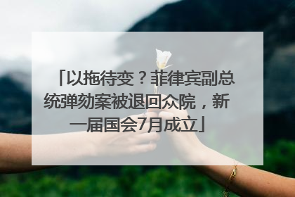 以拖待变？菲律宾副总统弹劾案被退回众院，新一届国会7月成立