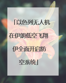 以色列无人机在伊朗低空飞翔 伊全面开启防空系统