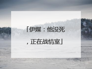 伊媒：他没死，正在战情室