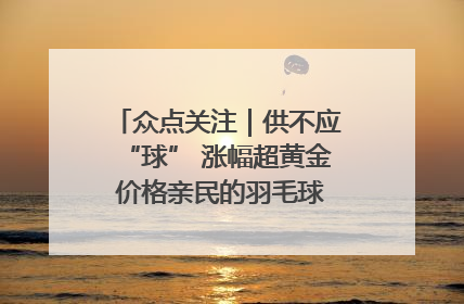 众点关注｜供不应“球” 涨幅超黄金 价格亲民的羽毛球为何身价飞涨？