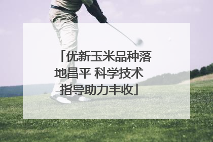 优新玉米品种落地昌平 科学技术指导助力丰收