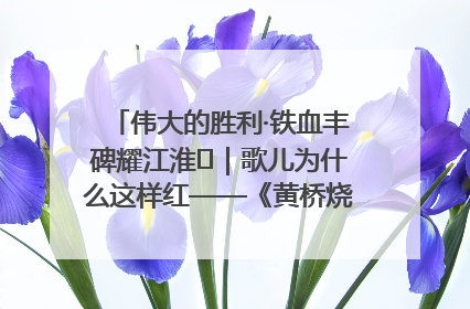 伟大的胜利·铁血丰碑耀江淮⑫｜歌儿为什么这样红——《黄桥烧饼歌》诞生记