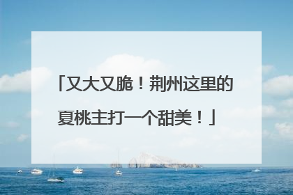 又大又脆！荆州这里的夏桃主打一个甜美！