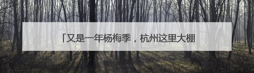 又是一年杨梅季，杭州这里大棚杨梅已熟，“采摘攻略”来了