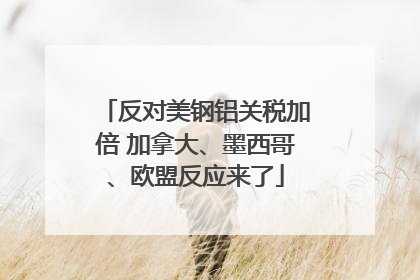 反对美钢铝关税加倍 加拿大、墨西哥、欧盟反应来了