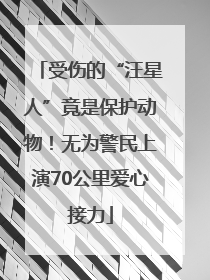 受伤的“汪星人”竟是保护动物！无为警民上演70公里爱心接力