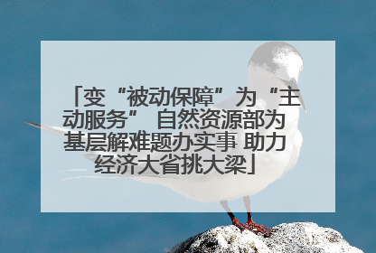 变“被动保障”为“主动服务” 自然资源部为基层解难题办实事 助力经济大省挑大梁