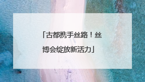 古都携手丝路！丝博会绽放新活力