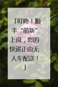 叮咚！顺丰“萌新”上岗，您的快递正由无人车配送！