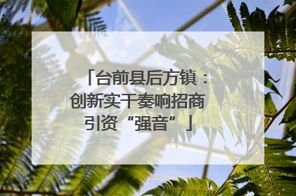 台前县后方镇：创新实干奏响招商引资“强音”