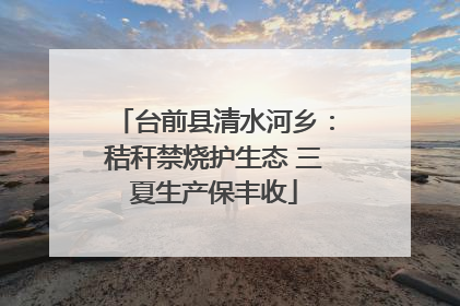 台前县清水河乡：秸秆禁烧护生态 三夏生产保丰收
