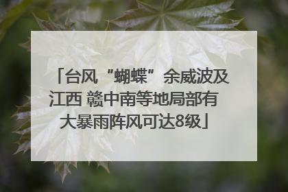 台风“蝴蝶”余威波及江西 赣中南等地局部有大暴雨阵风可达8级