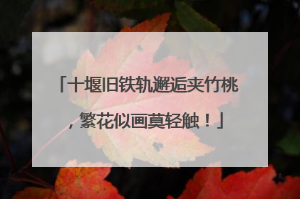 十堰旧铁轨邂逅夹竹桃，繁花似画莫轻触！