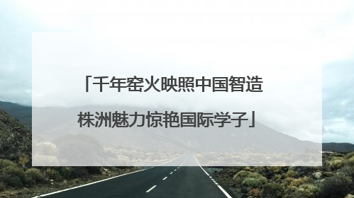 千年窑火映照中国智造 株洲魅力惊艳国际学子