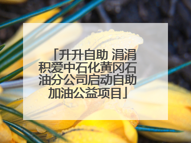 升升自助 涓涓积爱中石化黄冈石油分公司启动自助加油公益项目