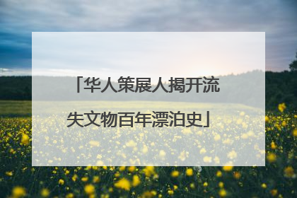 华人策展人揭开流失文物百年漂泊史