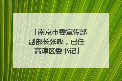 南京市委宣传部副部长张政，已任高淳区委书记