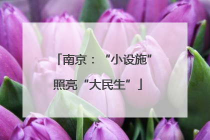 南京：“小设施”照亮“大民生”