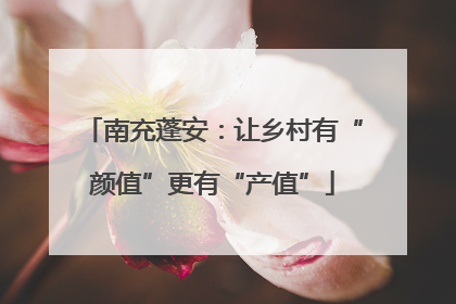 南充蓬安：让乡村有“颜值”更有“产值”