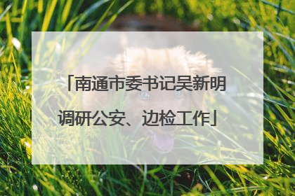南通市委书记吴新明调研公安、边检工作
