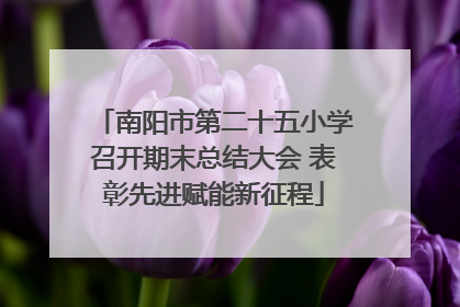 南阳市第二十五小学召开期末总结大会 表彰先进赋能新征程
