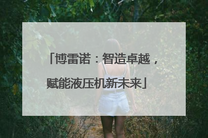 博雷诺：智造卓越，赋能液压机新未来
