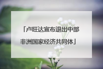 卢旺达宣布退出中部非洲国家经济共同体