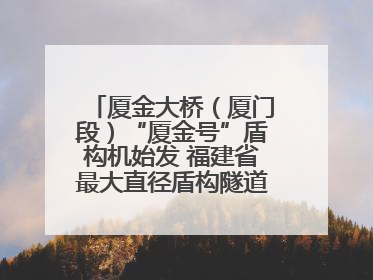 厦金大桥（厦门段）“厦金号”盾构机始发 福建省最大直径盾构隧道正式掘进