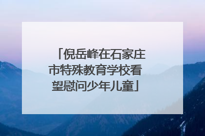 倪岳峰在石家庄市特殊教育学校看望慰问少年儿童