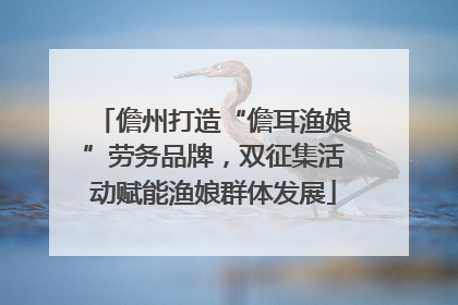 儋州打造“儋耳渔娘”劳务品牌，双征集活动赋能渔娘群体发展