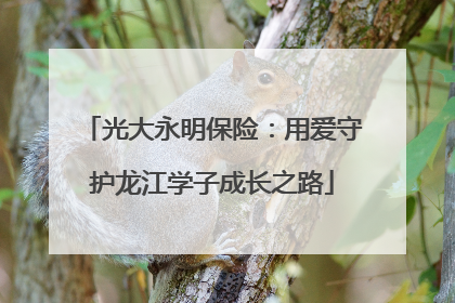 光大永明保险：用爱守护龙江学子成长之路