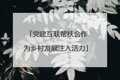 党建互联帮扶合作 为乡村发展注入活力