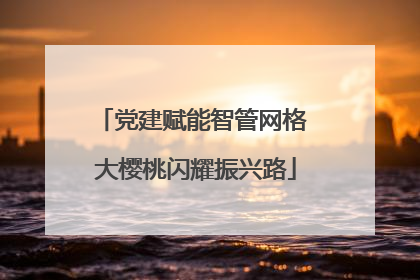 党建赋能智管网格 大樱桃闪耀振兴路