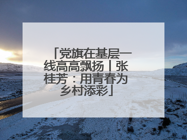 党旗在基层一线高高飘扬丨张桂芳：用青春为乡村添彩