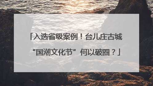 入选省级案例！台儿庄古城“国潮文化节”何以破圈？