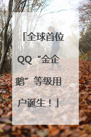 全球首位QQ“金企鹅”等级用户诞生！