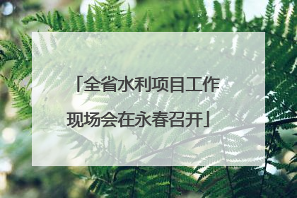 全省水利项目工作现场会在永春召开