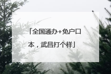全国通办+免户口本，武昌打个样