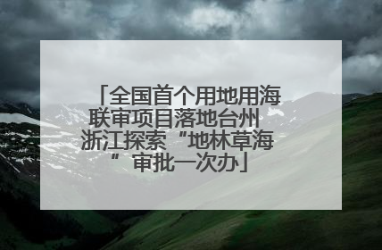 全国首个用地用海联审项目落地台州 浙江探索“地林草海”审批一次办