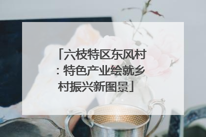 六枝特区东风村：特色产业绘就乡村振兴新图景