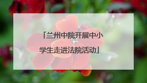 兰州中院开展中小学生走进法院活动
